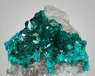 Emerald-Green Dioptase Cluster - Kazakhstan #34967-3